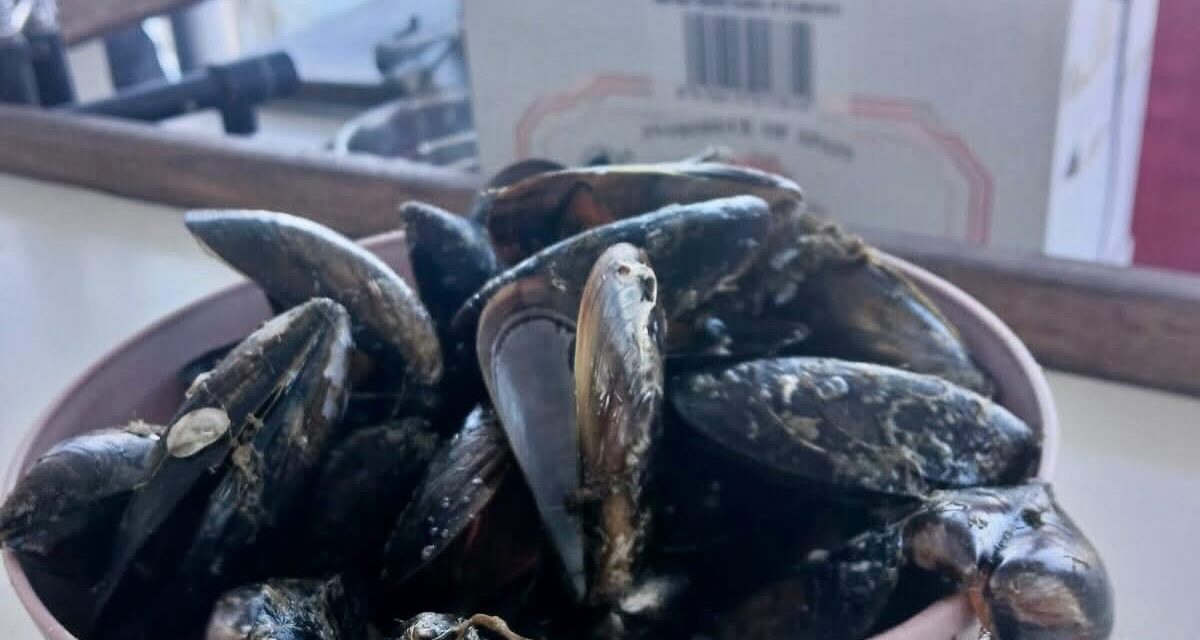 Excursión Denia & Degustación de mejillones – 2 de julio del 2025