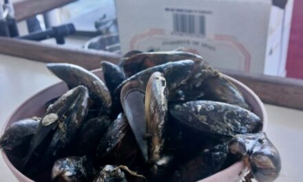 Excursión Denia & Degustación de mejillones – 2 de julio del 2025